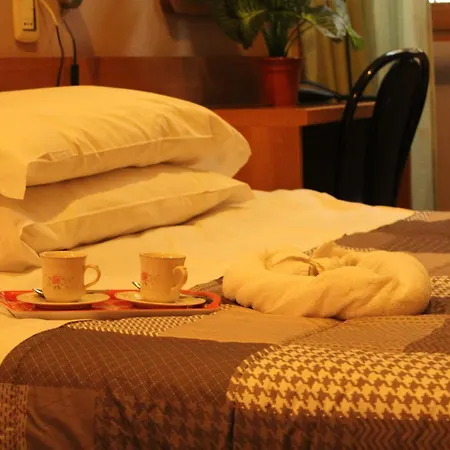 Hotel Ca' Grande *